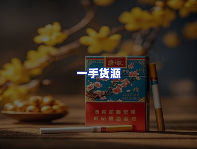专业团队
